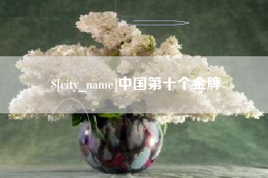 芜湖中国第十个金牌