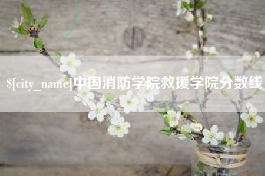 芜湖中国消防学院救援学院分数线