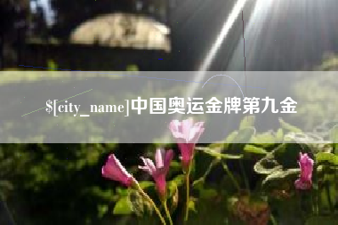 芜湖中国奥运金牌第九金