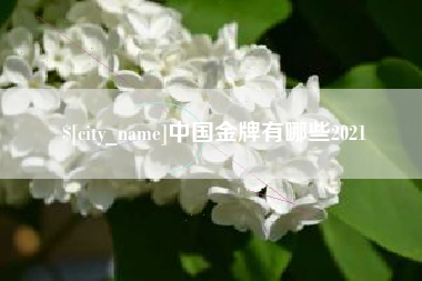 芜湖中国金牌有哪些2021
