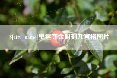 芜湖奥运夺金时刻九宫格图片