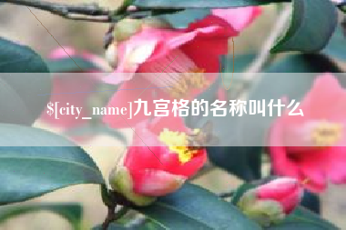 芜湖九宫格的名称叫什么