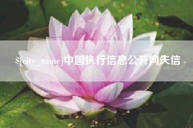 芜湖中国执行信息公开网失信