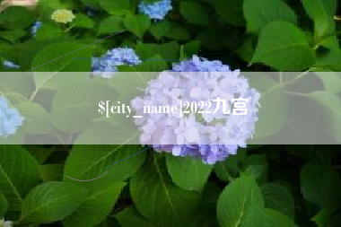 芜湖2022九宫