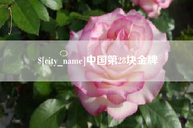 芜湖中国第28块金牌