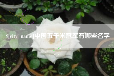 芜湖中国五千米冠军有哪些名字