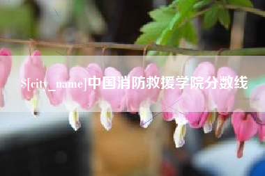 芜湖中国消防救援学院分数线