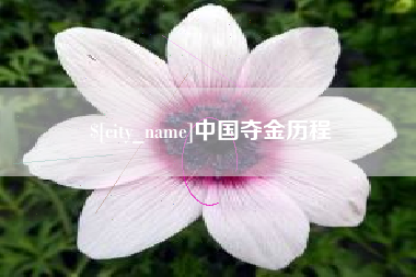 芜湖中国夺金历程