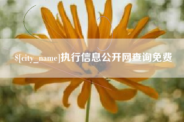 芜湖执行信息公开网查询免费