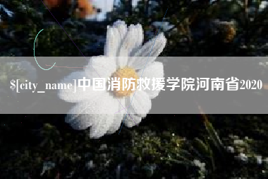芜湖中国消防救援学院河南省2020